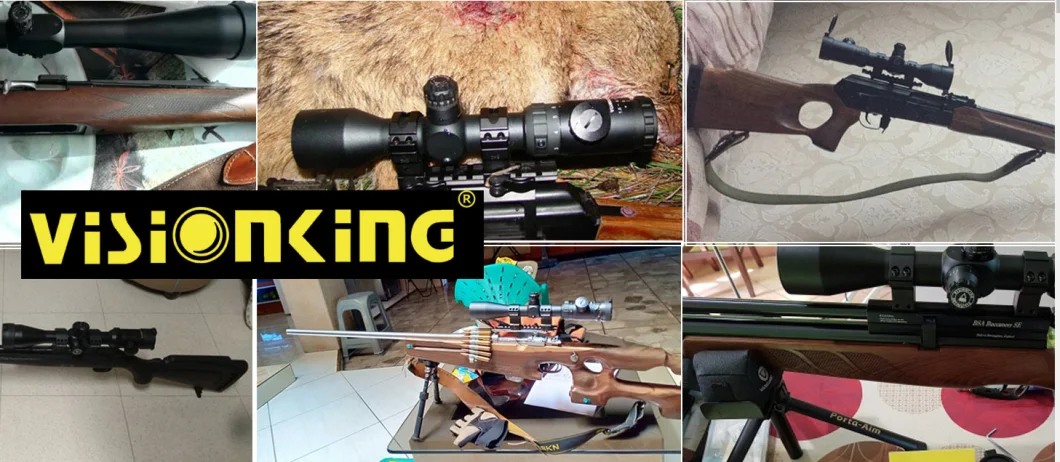 Visionking 2-10X32 Ffp Riflescope Laser Illuminated Night Hunting Aim Optical Sight First Focal Plane Tactical Scope. 223.308